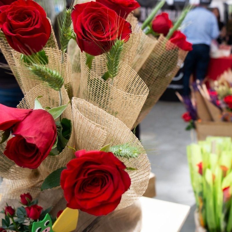 recomendaciones libros sant jordi